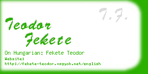 teodor fekete business card